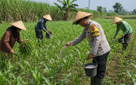 Pak Bhabin Penggerak Ketahanan Pangan, Dampingi Petani Jagung di Kota Malang   